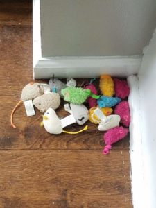 Ripley's mice collection