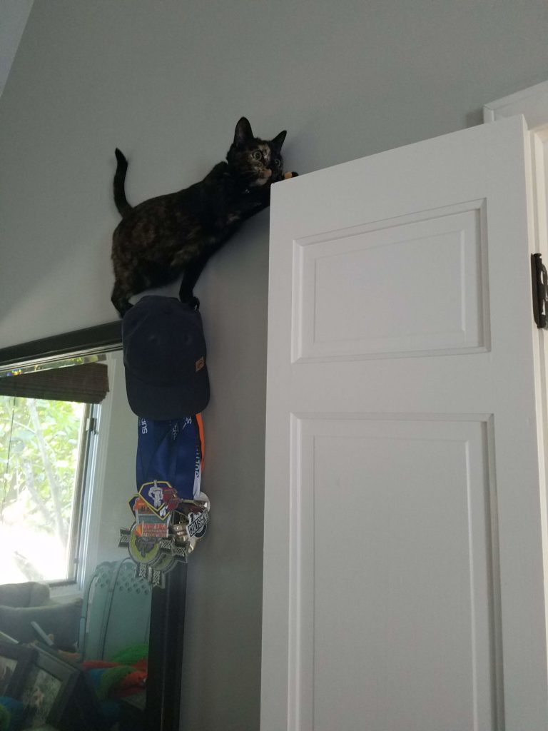 Ripley scales everything