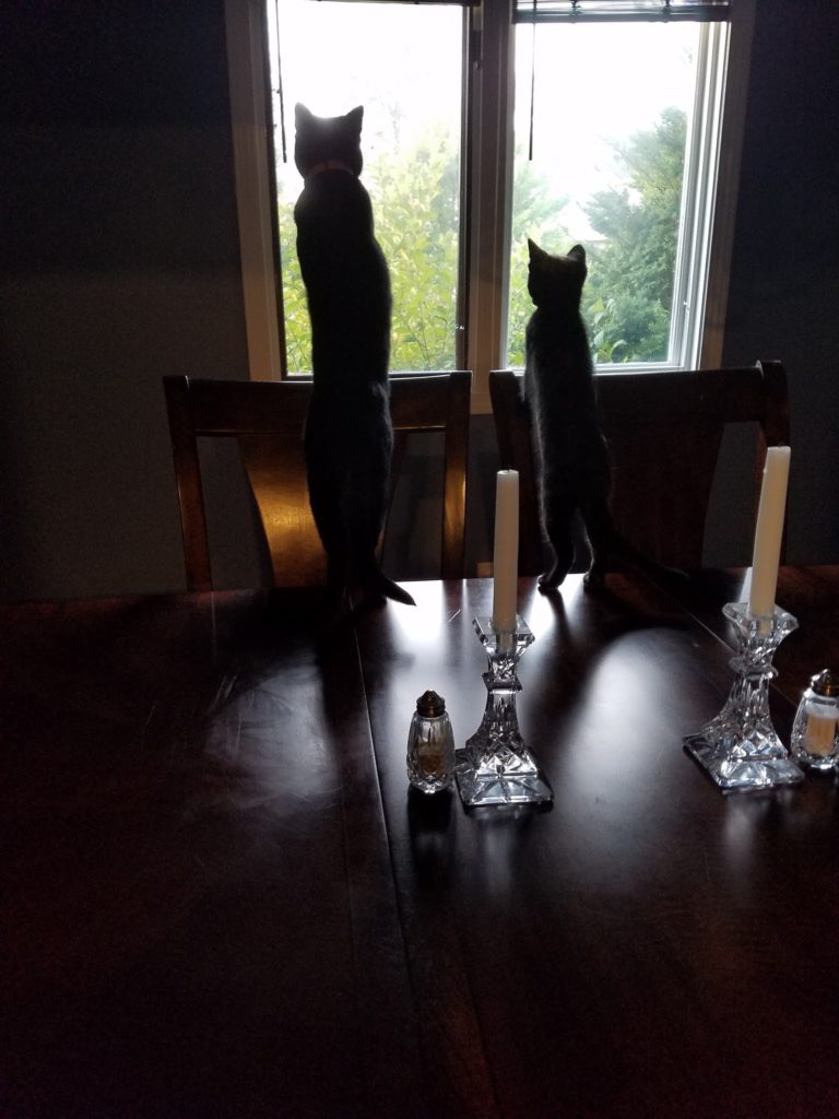 Ripley and Newt October 2017