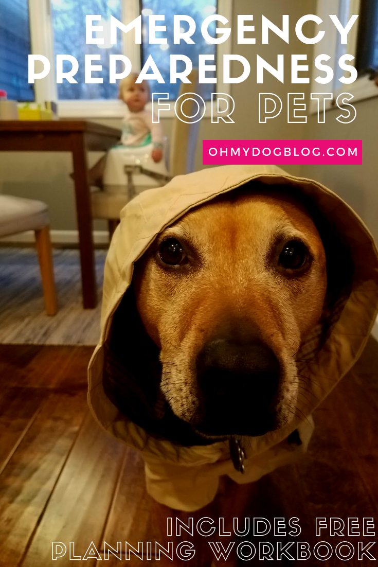 Emergency Preparedness for Pets | with free workbook download