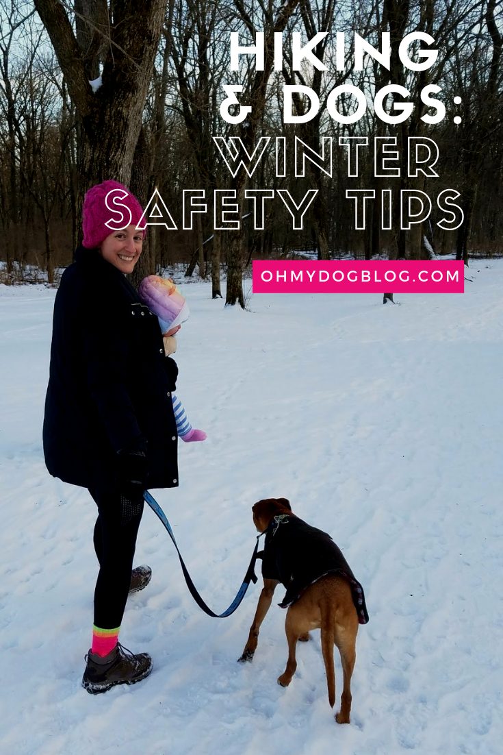 Hiking With Dogs: 5 Winter Safety Tips