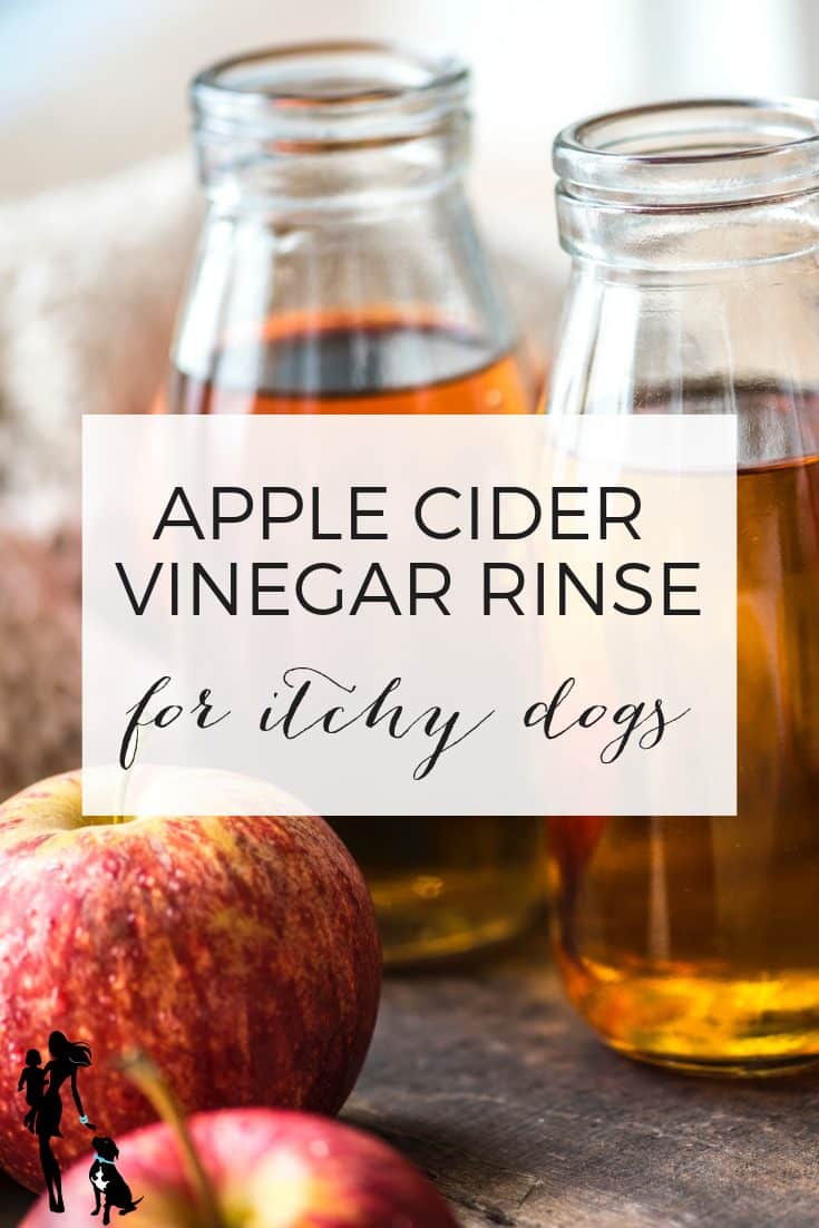 Apple cider vinegar rinse for itchy dogs