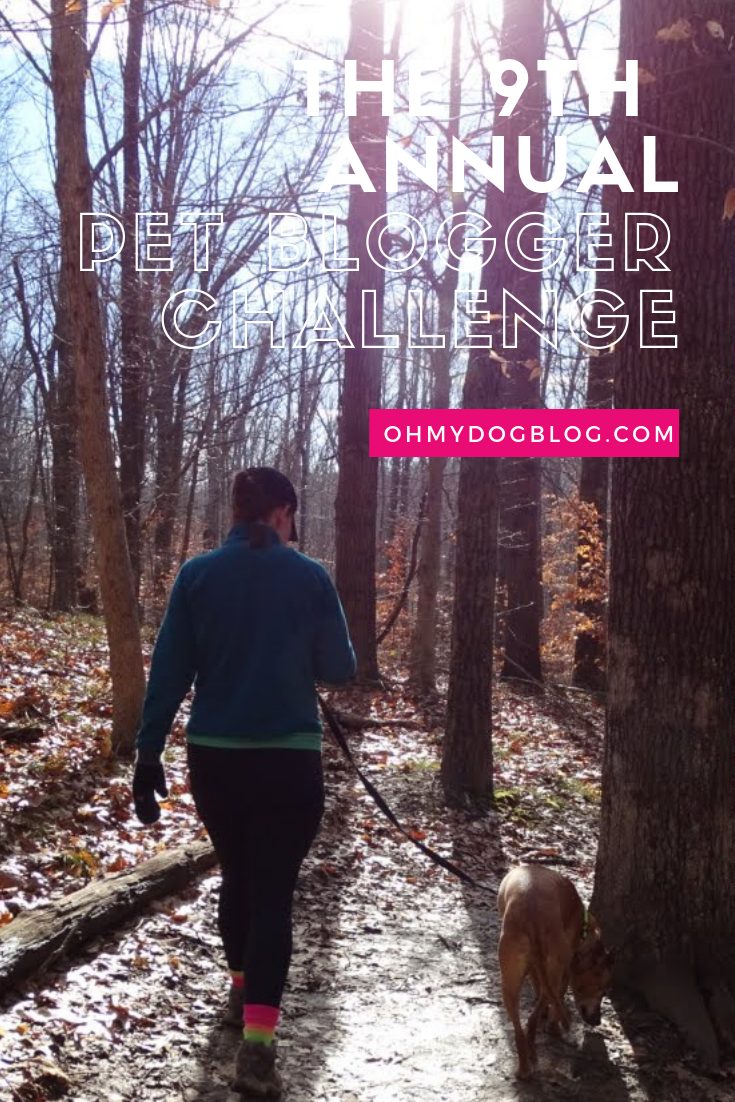 The 9th Annual Pet Blogger Challenge