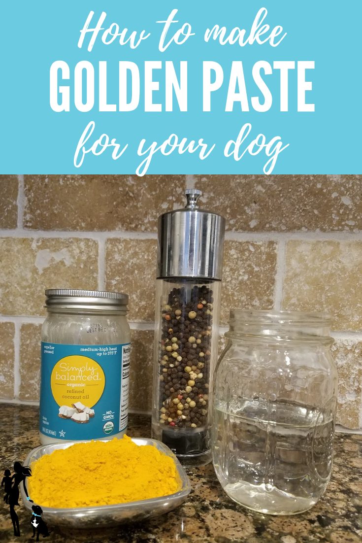 How to Make Golden Paste for Your Dog