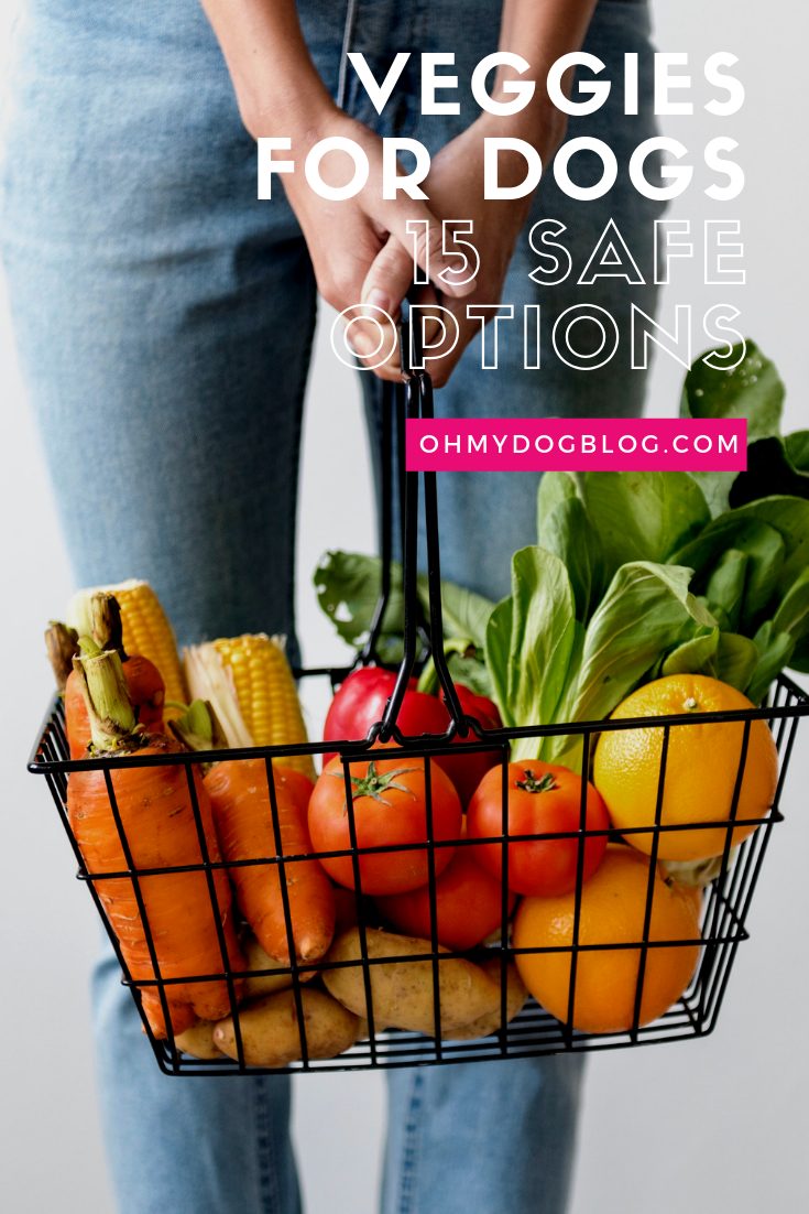 Veggies for Dogs: 15 dog-friendly vegetables and how to prepare them for your pup