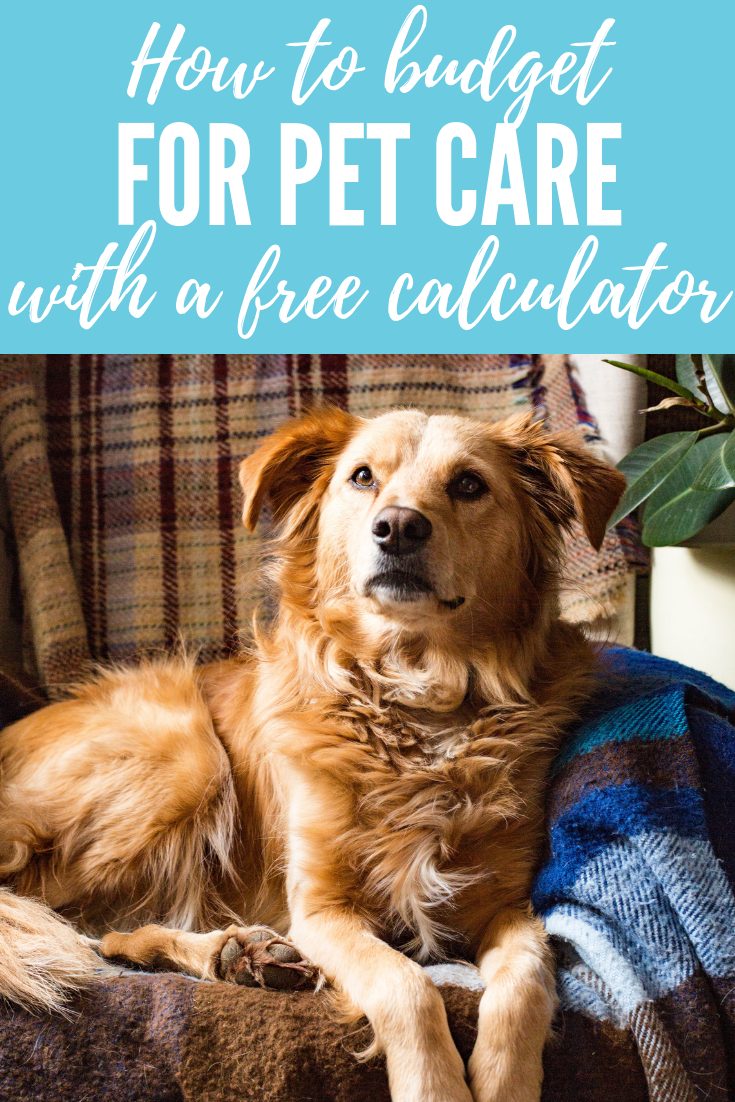 A light brown fluffy medium sized dog lounges on an arm chair covered in a brown flannel and a blue flannel. He's looking off to the side of the camera. Behind him is a green plan. The text overlay reads: What's the real cost of owning a dog_ Tips to budget for pet care (including a FREE pet care budget tool)