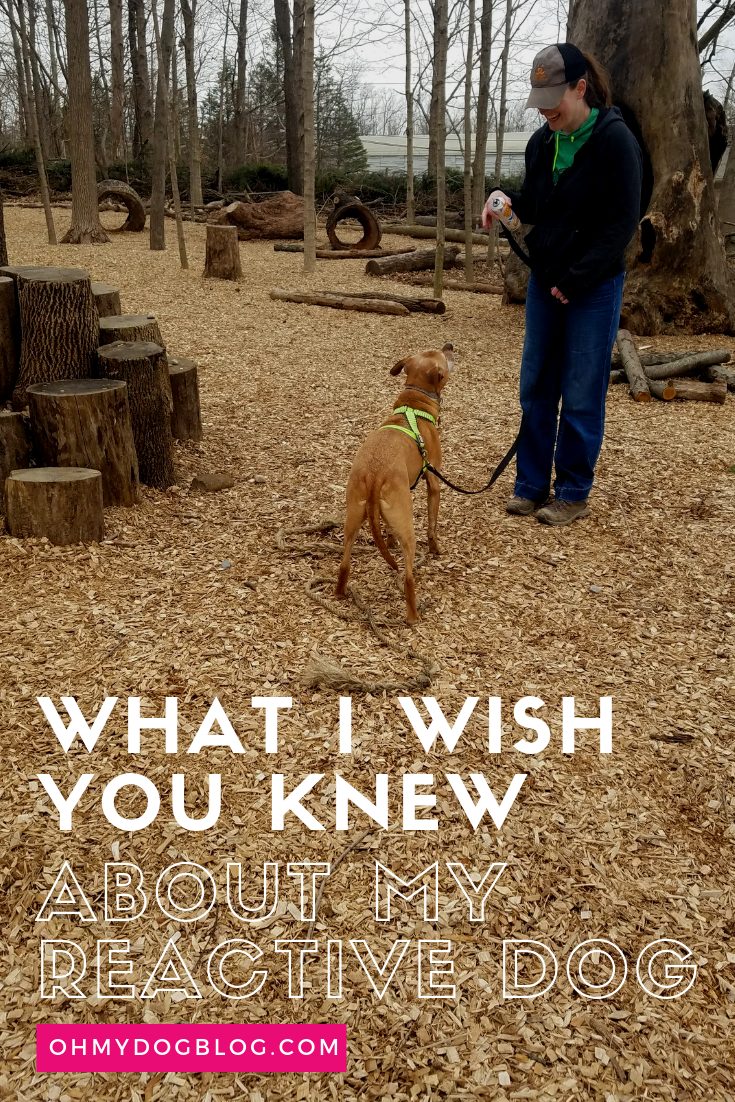 What I wish you knew about my reactive dog
