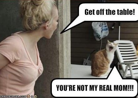 What pet adoption memes get wrong about moms