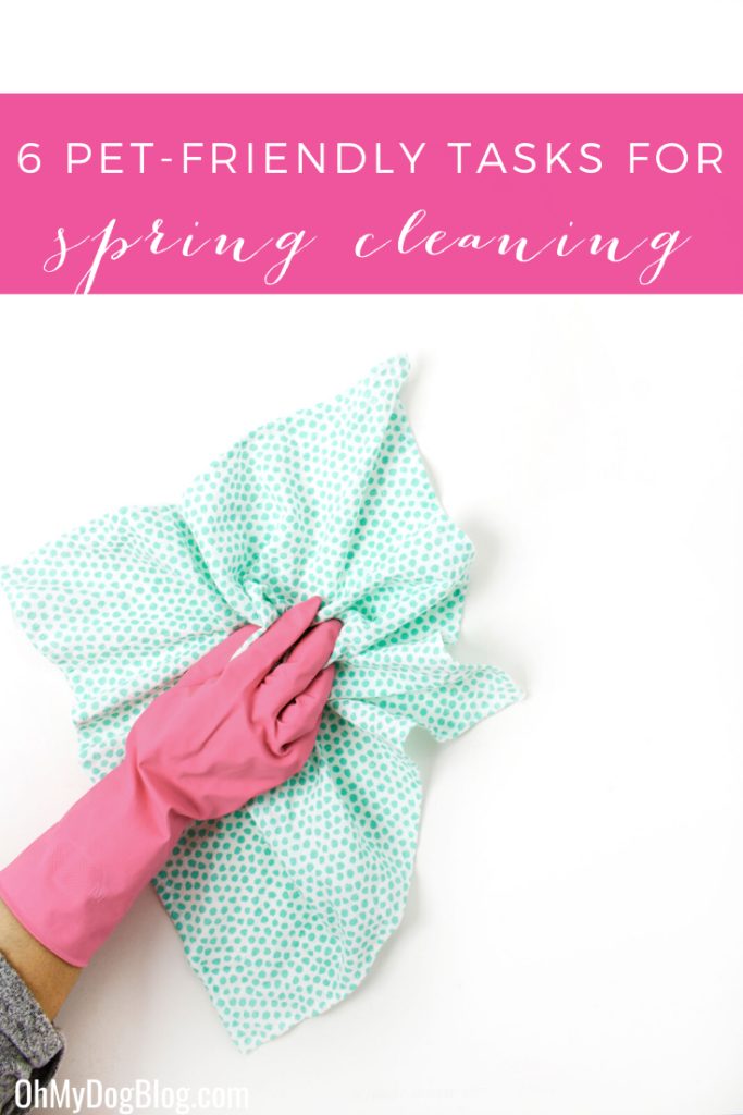 6 pet-friendly tasks to add to your spring  cleaning routine