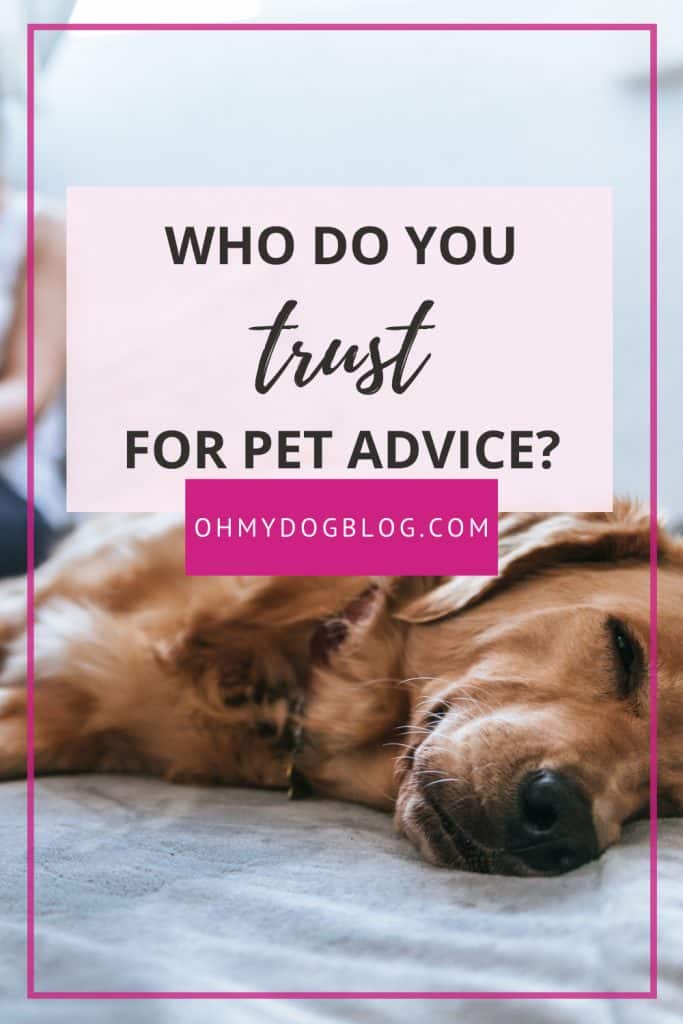 A dog sleeping on a bed while a woman works on a laptop behind him. The text overlay reads: Who do you trust for pet advice? 