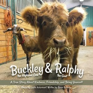 The cover image of Buckley & Ralphy shows a cow and a goat in a barn chewing hey.