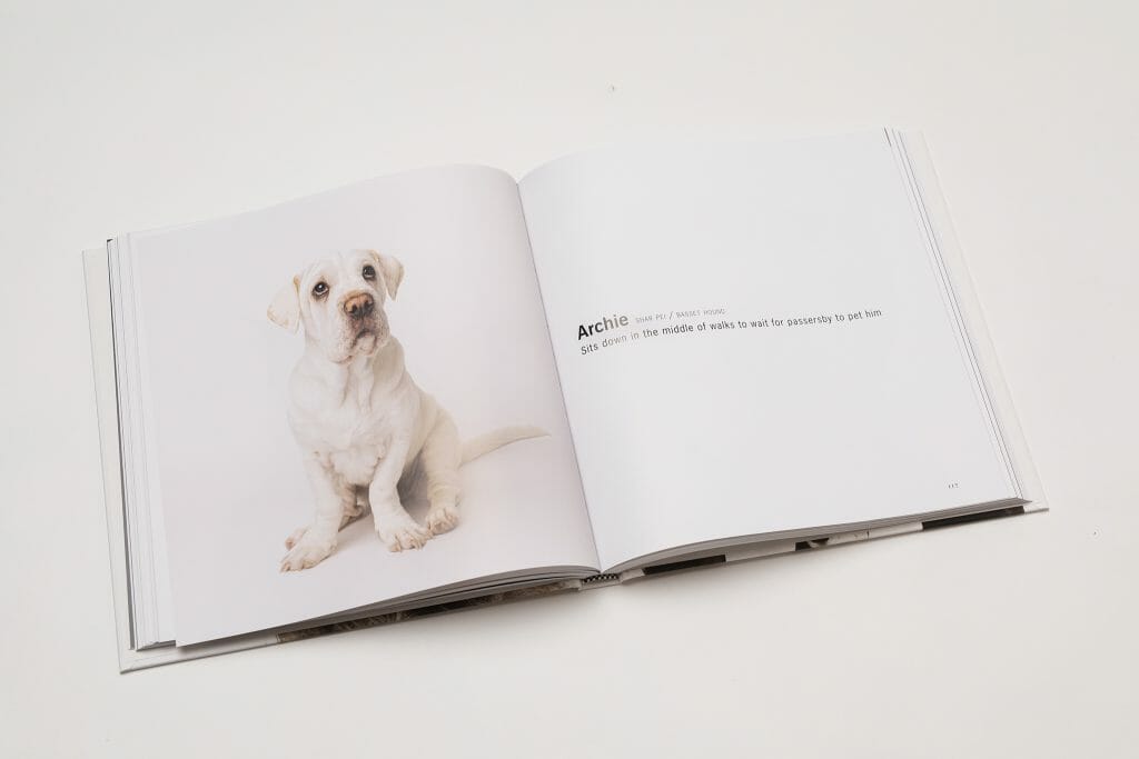 An open spread of the photography book shows an all white dog sitting on a plain white background. His paws are splayed out to the side. The text on the right says his name is Archie and is captioned: Sits down in the middle of walks to wait for passerby to pet him. 