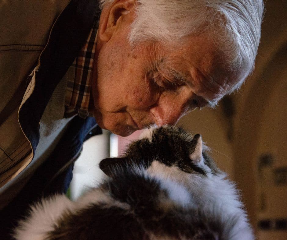 An elderly man in a khaki jacket leans forward to touch noses with a fluffy black and white cat. 