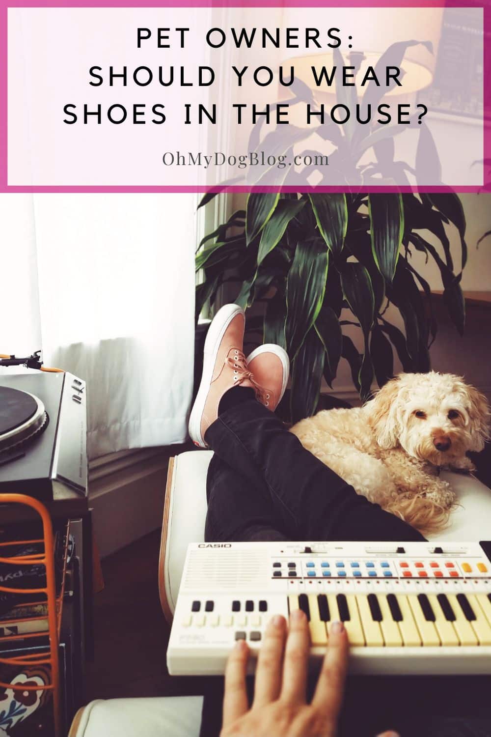A person is playing a small, white, electronic Casio keyboard perched on their lap. Their feet are propped up on a white leather ottoman. They're wearing pink and white Keds shoes. A small white curly-haired dog sits on the ottoman next to the person's shoes. To the right of the person is a turntable on an orange cart. Behind the ottoman is a tall green houseplant. An open window flutters a sheer white curtain in the background. The text overlap reads: Pet owners: Should you wear shoes in the house?