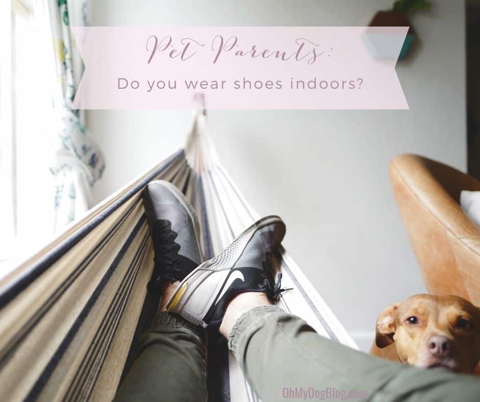 The image is from the perspective of a person lounging in a hammock inside a living room. The angle shoes the person's black and gray Nike sneakers at the end of the tan and black striped hammock. To the left is a window bright with sunlight and a green and yellow curtain tied off to the side. To the right, a brown pit bull mix rests his chin on the edge of the hammock. Behind the dog is the edge of a tan leather chair. The text overlay reads Pet Parents: Do you wear shoes indoors? 