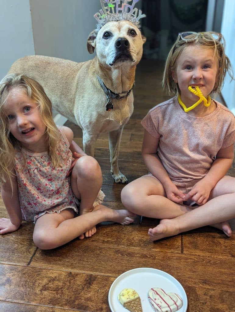 Astrid, age 3, wears a pink flamingo print nightgown and sits on the floor next to Violet, age 6, who wears a pink pajama set. Between the girls is a white-faced Am STaff Mix, Cooper, wearing a silver glittery Happy Birthday headband. In front of the trio sits a plate of birthday cookies for Cooper, shaped like an ice cream cone and a heart. 