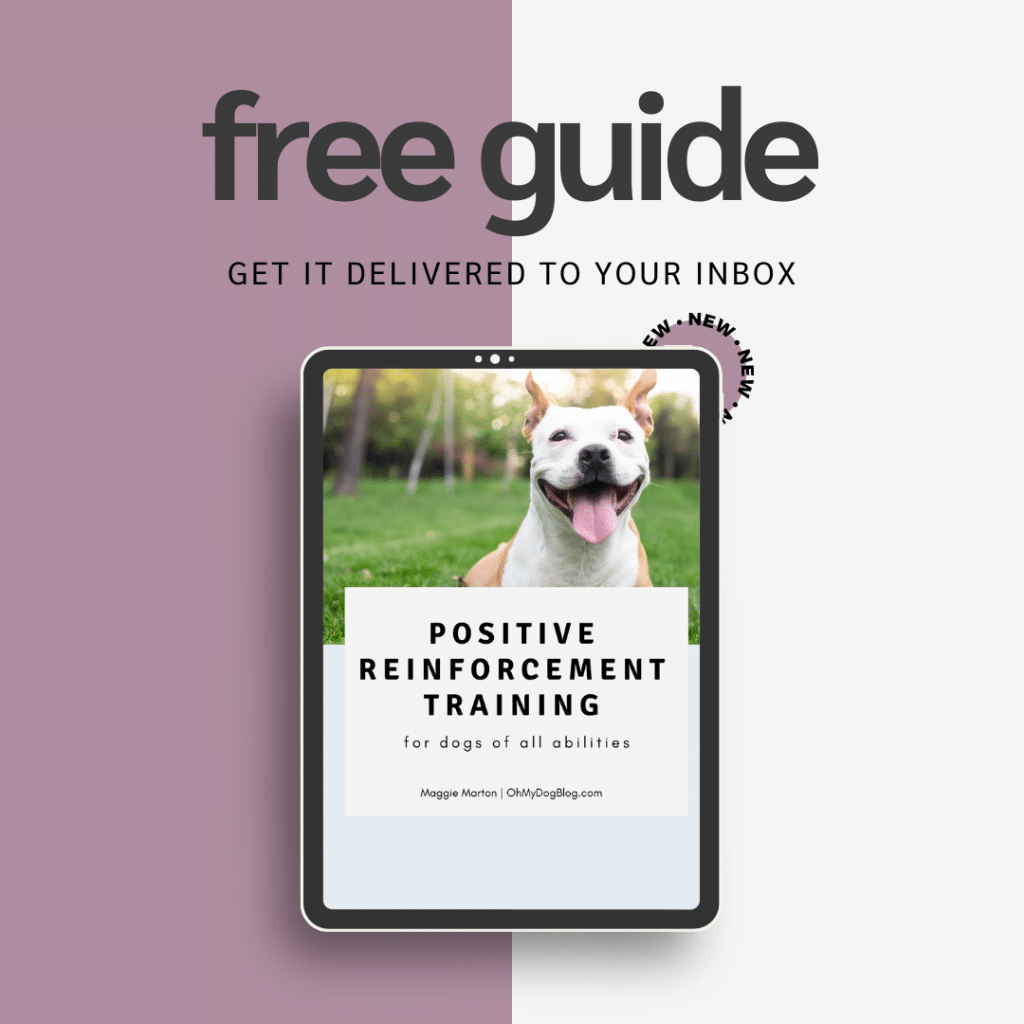 An image that reads: free guide
Get it delivered to your inbox
And it shows the cover of an ebook with a smiling white and brown bully mix. The title of the book reads: Positive reinforcement training for dogs of all abilities. 