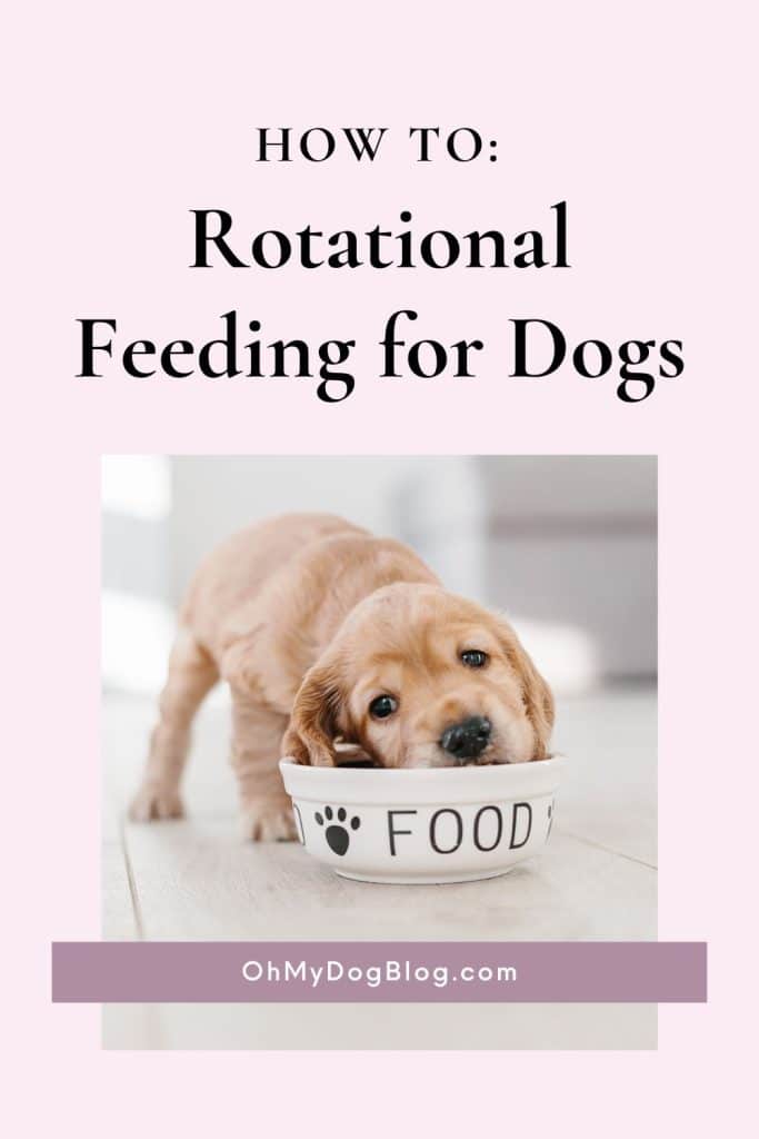 The image has a pink background with black text that reads "How to: Rotational Feeding for Dogs." Underneath the text is an inset photo of a Golden retriever puppy with his face in a bowl that has a paw print and says FOOD.