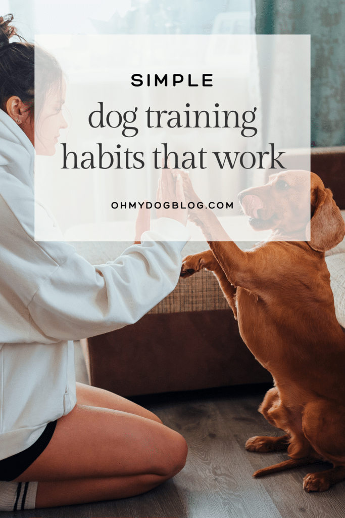 A white woman with brown hair in a messy bun wears an oversized white sweatshirt and black shorts. She's kneeling on the ground next to her dog, a brown dog that looks like a hound mix. The two are practicing a "high five" move in front of a sofa. The text overlay reads "Simple dog training habits that work."
