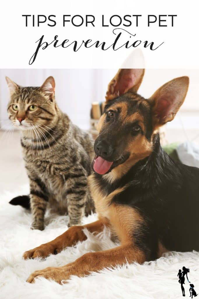 A gray tabby cat sits next to a German shepherd puppy on a white fluffy rug. The text overlay reads: Lost pet prevention tips. 