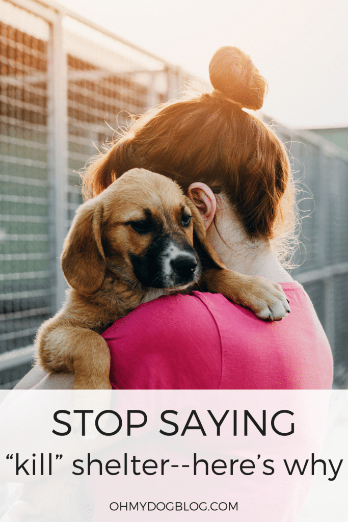 A while woman with brown hair in a high bun stands outside metal cages holding a small brown puppy with a white and black nose. The text overlay reads: stop saying "kill" shelter--here's why.
