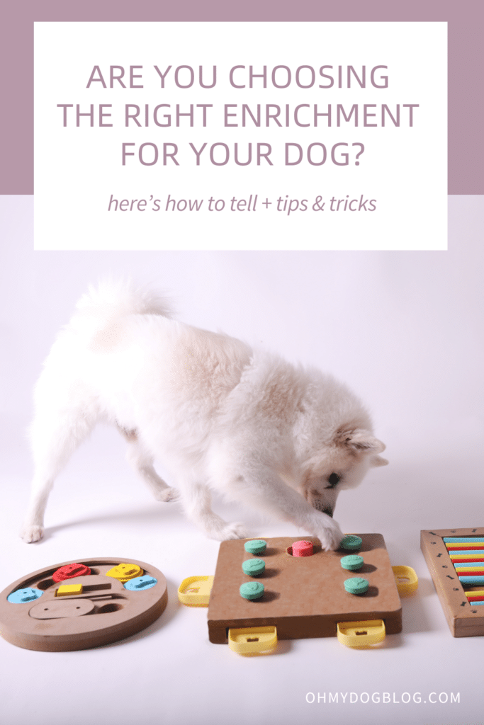 A fluffy, small white dog paws at a wooden dog puzzle. Two other wooden puzzles sit nearby. The text overlay reads: Are you choosing the right enrichment for your dog? Here's how to tell and tips & tricks