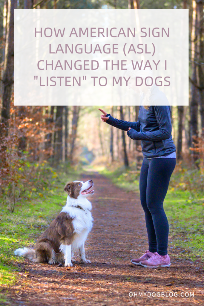 The image shows a blonde white woman wearing a blue running outfit with pink running shoes standing in the middle of a well-maintained trail through a grove of trees. She's dog training by signaling with her hand to her dog, a brown and white collie. The text overlay reads: How American Sign Language Changed the Way I "Listen" to My Dogs