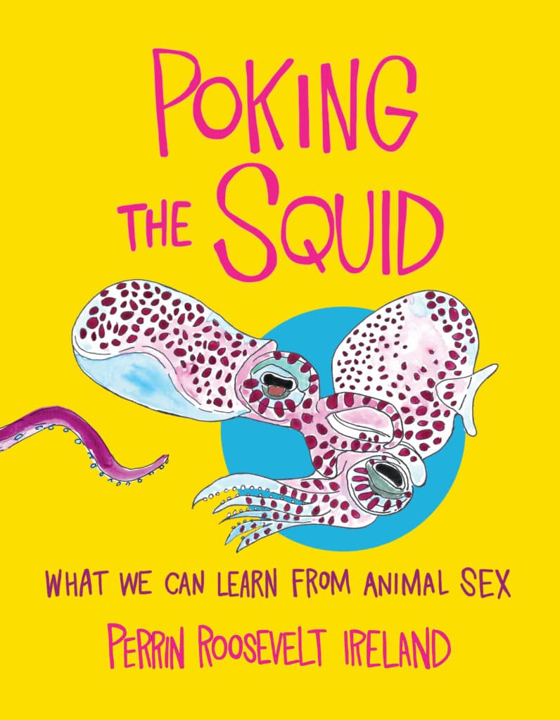 The cover of the book Poking the Squid: What we can learn from animal sex by Perrin Roosevelt Ireland features a neon yellow background with an offset bright blue circle. In the middle of the circle and spilling outward are squid illustrated in purples and blues. This was my favorite book of the 7 best animal books Summer 2026 roundup. 