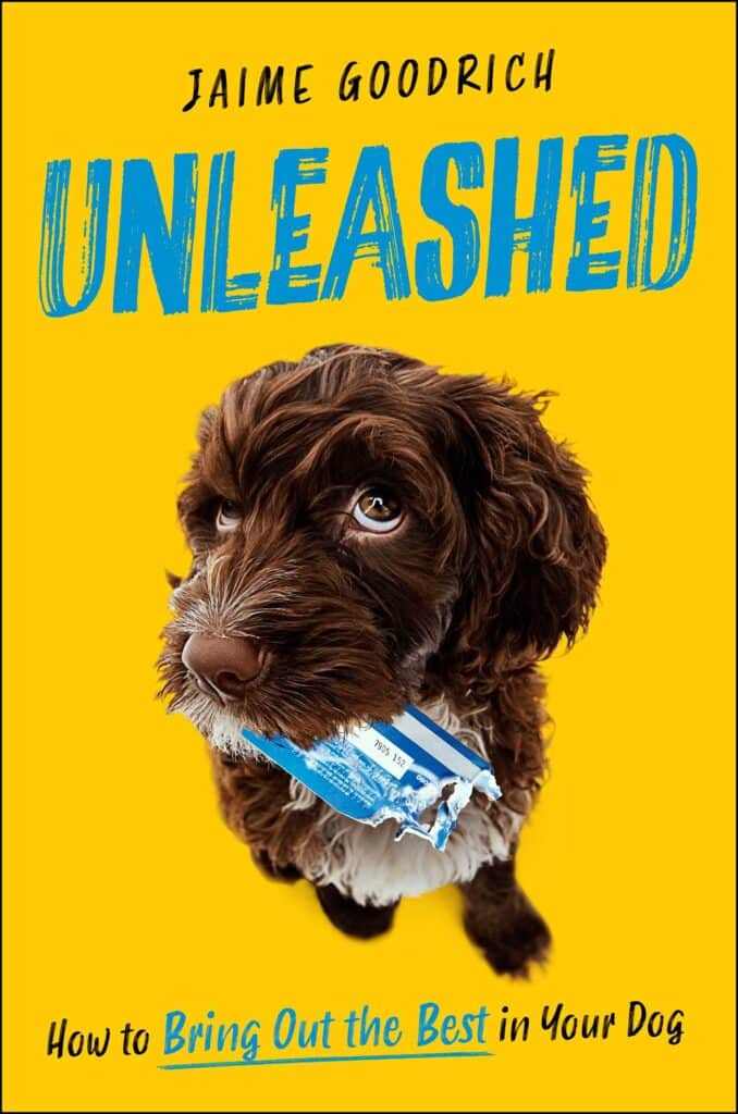 The cover of the book Unleashed features a bright yellow background with a brown doodle with a chewed up credit card in his mouth. 